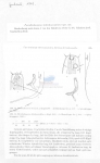 Nematode file-library of the Marine Biology Section (Ghent University, Belgium)