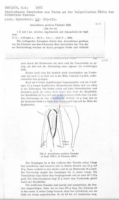 Axonolaimus ponticus