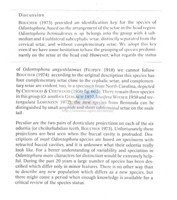 Odontophora bermudensis