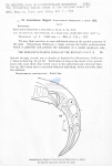 Nematode file-library of the Marine Biology Section (Ghent University, Belgium)