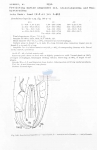 Nematode file-library of the Marine Biology Section (Ghent University, Belgium)