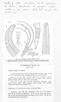 Nematode file-library of the Marine Biology Section (Ghent University, Belgium)