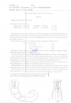 Nematode file-library of the Marine Biology Section (Ghent University, Belgium)