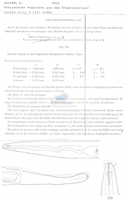 Southerniella cylindrolaimus