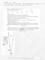 Nematode file-library of the Marine Biology Section (Ghent University, Belgium)