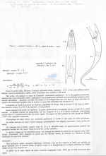 Publication snippets