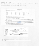 Metacomesoma cyatholaimoides