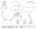 Nematoda (roundworms)