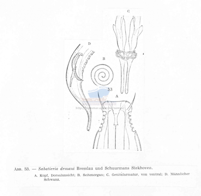 Sabatieria demani