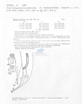Nematode file-library of the Marine Biology Section (Ghent University, Belgium)
