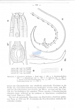 Publication snippets