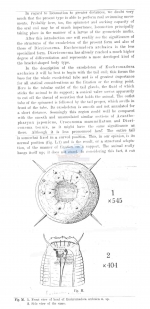 Steineridora archaica