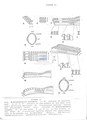 Nematoda (roundworms)