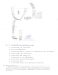 Nematode file-library of the Marine Biology Section (Ghent University, Belgium)