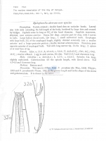 Spilophorella aberrans