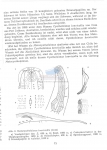 Metacyatholaimus brevicollis