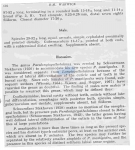 Nematode file-library of the Marine Biology Section (Ghent University, Belgium)