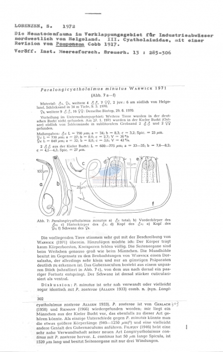 Paralongicyatholaimus minutus