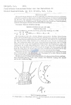 Nematode file-library of the Marine Biology Section (Ghent University, Belgium)
