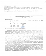 Paradesmodora supplementatis