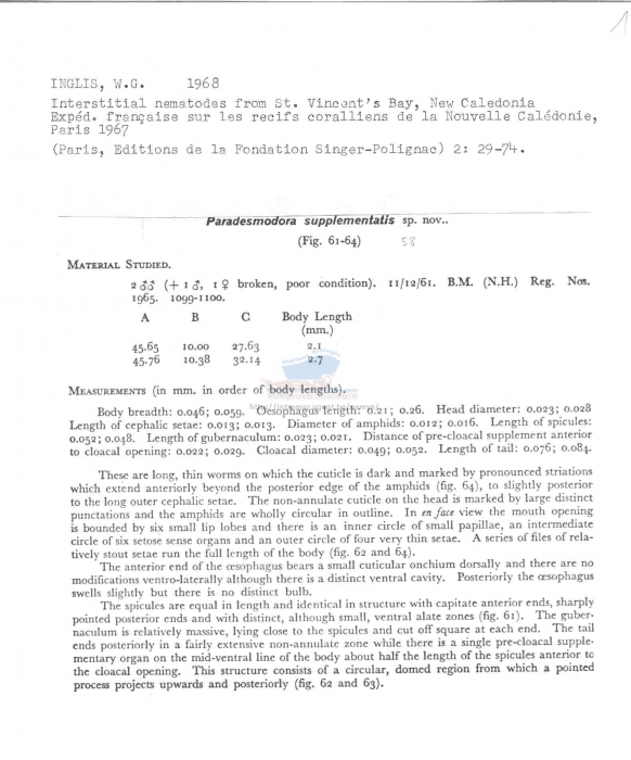 Paradesmodora supplementatis