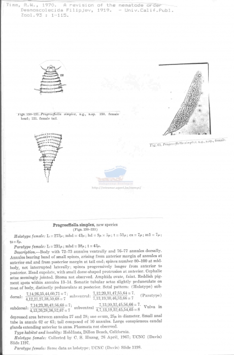 Progreeffiella simplex