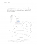 Nematode file-library of the Marine Biology Section (Ghent University, Belgium)