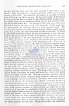 Nematode file-library of the Marine Biology Section (Ghent University, Belgium)
