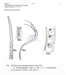 Publication snippets