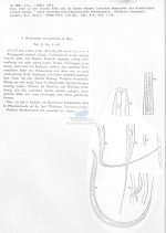 Monhystera microphthalma