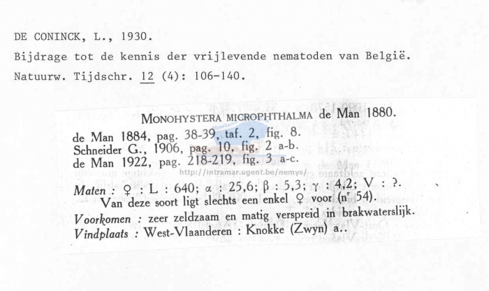 Monhystera microphthalma