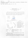Nematode file-library of the Marine Biology Section (Ghent University, Belgium)