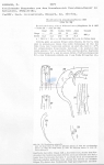 Nematode file-library of the Marine Biology Section (Ghent University, Belgium)