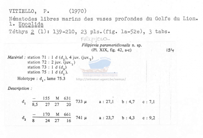 Filipjeva parameridionalis