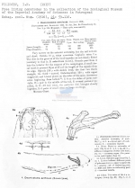 Deontostoma arcticum