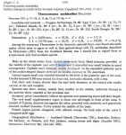 Nematode file-library of the Marine Biology Section (Ghent University, Belgium)