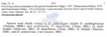 Nematode file-library of the Marine Biology Section (Ghent University, Belgium)