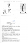 Nematode file-library of the Marine Biology Section (Ghent University, Belgium)