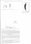 Nematode file-library of the Marine Biology Section (Ghent University, Belgium)