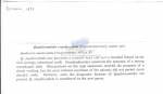 Nematode file-library of the Marine Biology Section (Ghent University, Belgium)