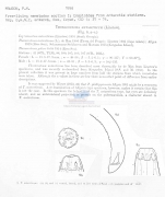 Thoracostoma antarcticum