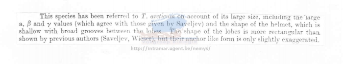 Thoracostoma arcticum