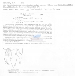 Nematode file-library of the Marine Biology Section (Ghent University, Belgium)