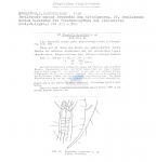 Nematode file-library of the Marine Biology Section (Ghent University, Belgium)