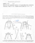 Nematode file-library of the Marine Biology Section (Ghent University, Belgium)