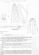 Paraleptosomatides