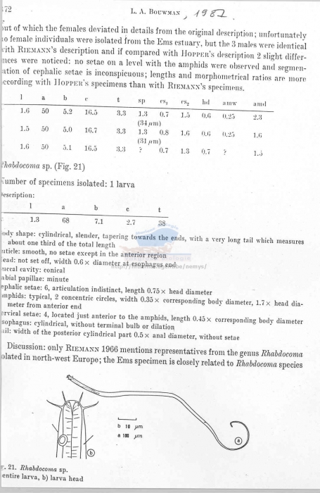 Rhabdocoma