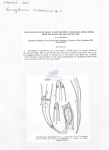 Nematode file-library of the Marine Biology Section (Ghent University, Belgium)