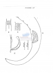 Nematode file-library of the Marine Biology Section (Ghent University, Belgium)