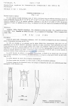 Nematode file-library of the Marine Biology Section (Ghent University, Belgium)